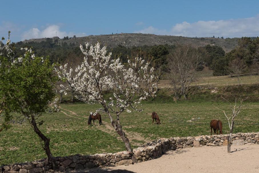 Hotel Quinta Do Rio Noemi Guarda Zewnętrze zdjęcie