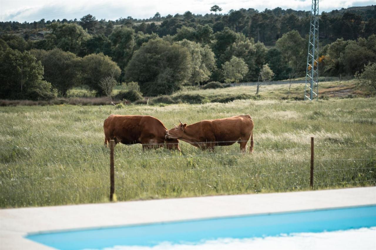 Hotel Quinta Do Rio Noemi Guarda Zewnętrze zdjęcie